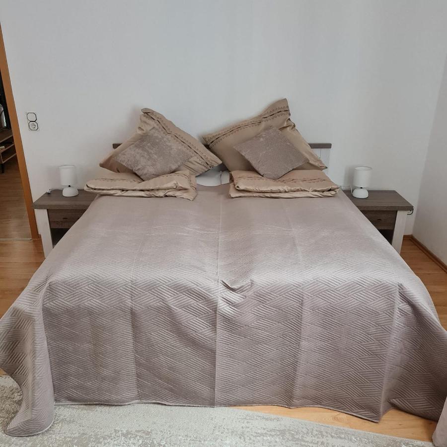 Ferienwohnungen Emma 戈斯拉尔 外观 照片